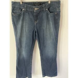 Calvin Klein Jeans Womens 16 Blue Modern Flared Low Rise Medium Wash 36x32